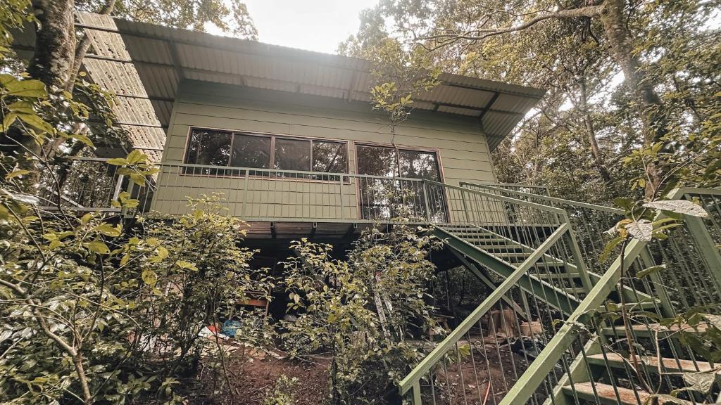 Tree House Bosque Nuboso